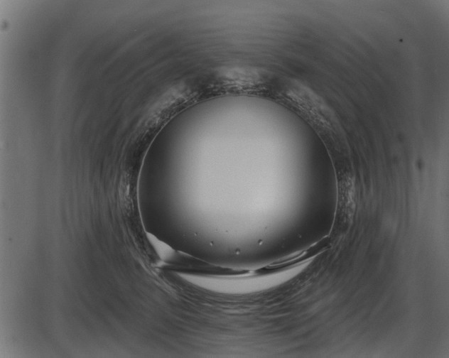 X0000086300615200704091023