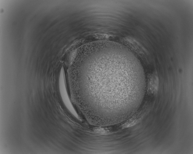 X0000086300616200704091023