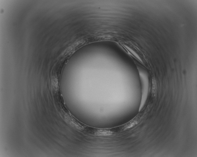 X0000086300617200704091023