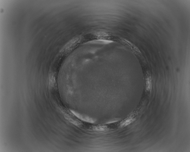 X0000086300618200704091023