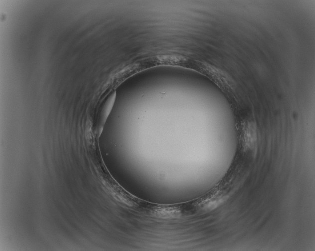 X0000086300619200704091023