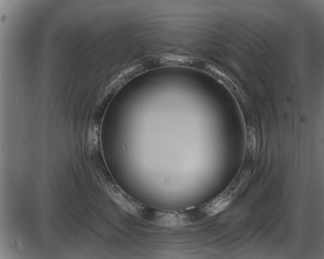 X0000086300621200704091023