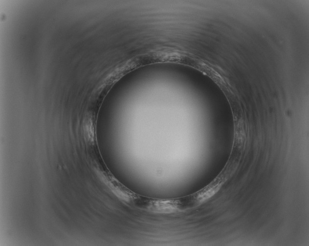 X0000086300622200704091023