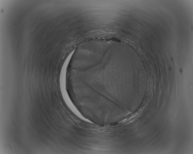 X0000086300624200704091023