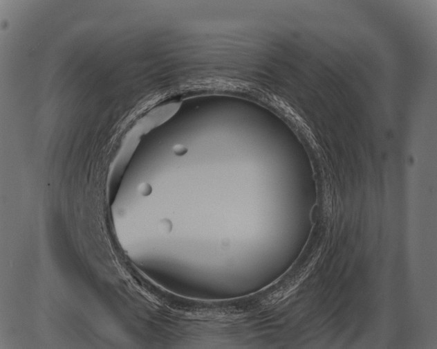 X0000086300625200704091022