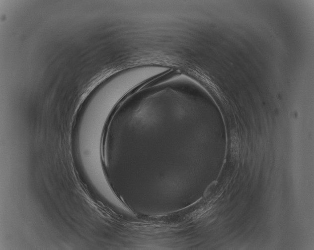 X0000086300626200704091022