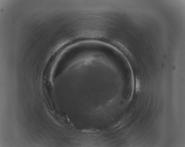 X0000086300627200704091022