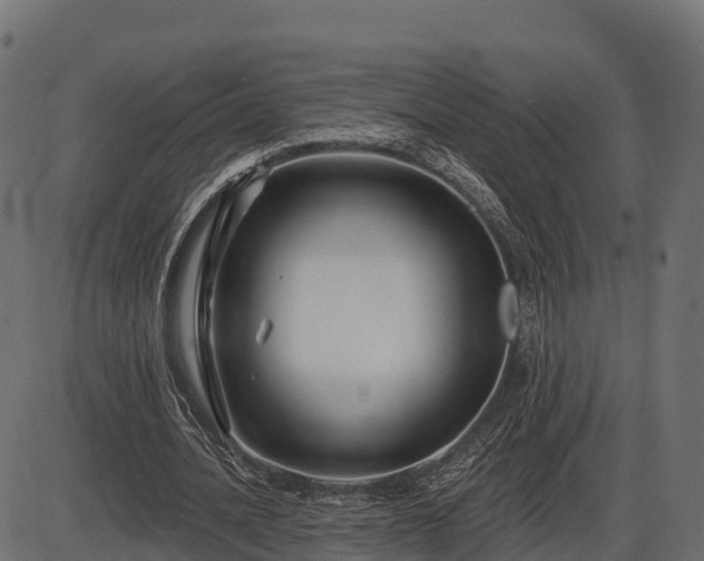 X0000086300628200704091022