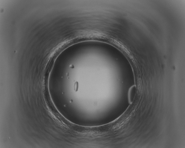 X0000086300629200704091022