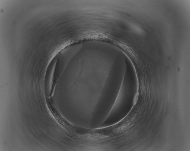 X0000086300630200704091022