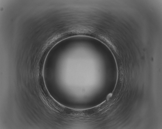 X0000086300631200704091022