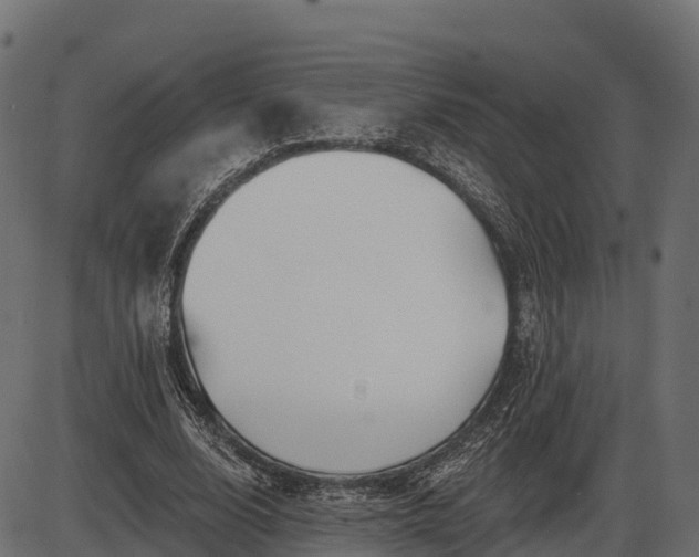 X0000086300632200704091022