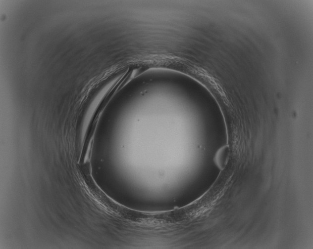 X0000086300633200704091022