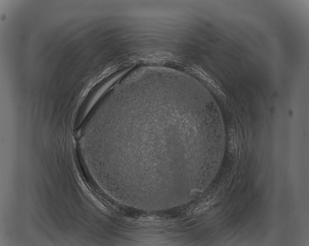 X0000086300634200704091022