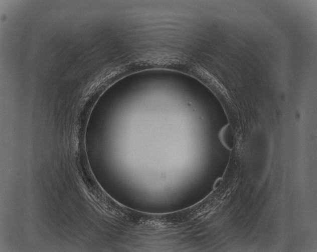 X0000086300635200704091022