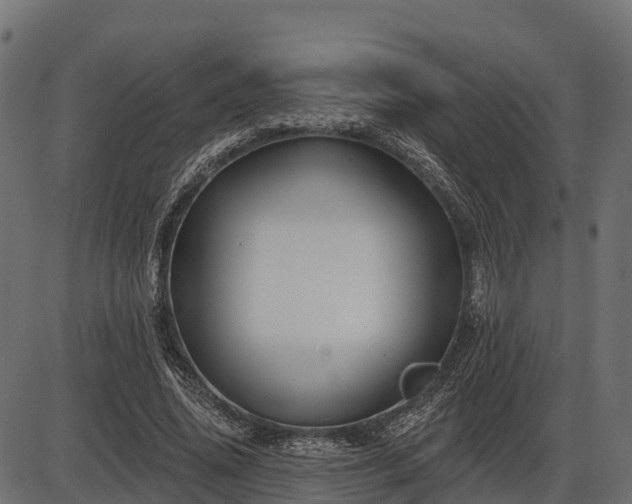 X0000086300636200704091022