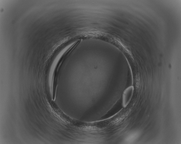 X0000086300637200704091022