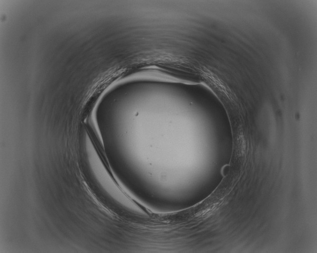 X0000086300638200704091022