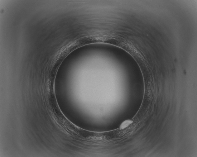 X0000086300639200704091022