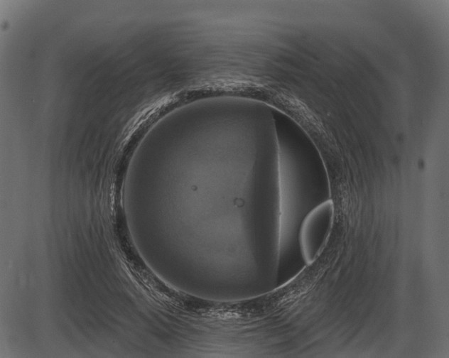 X0000086300640200704091022