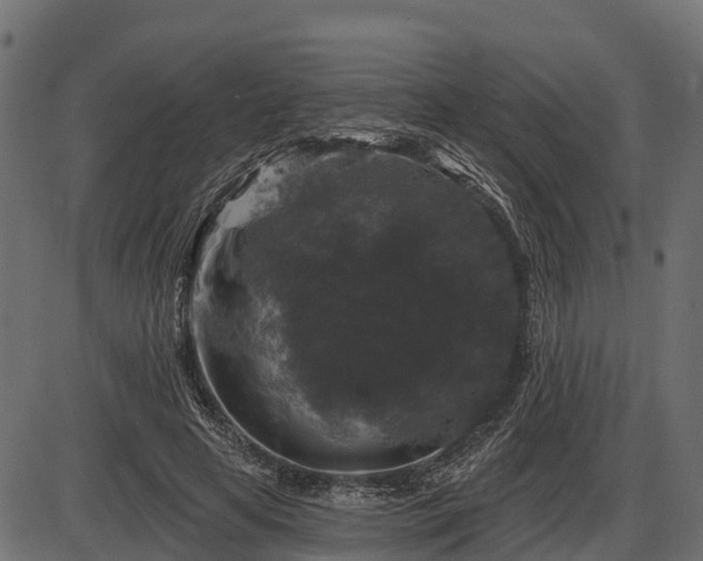 X0000086300641200704091022