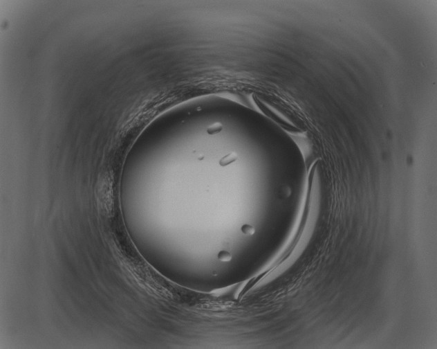 X0000086300642200704091022