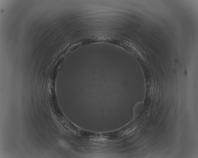 X0000086300643200704091022