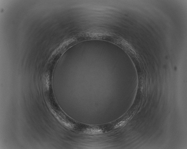 X0000086300644200704091022