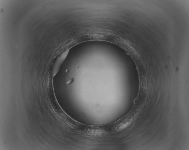 X0000086300645200704091022