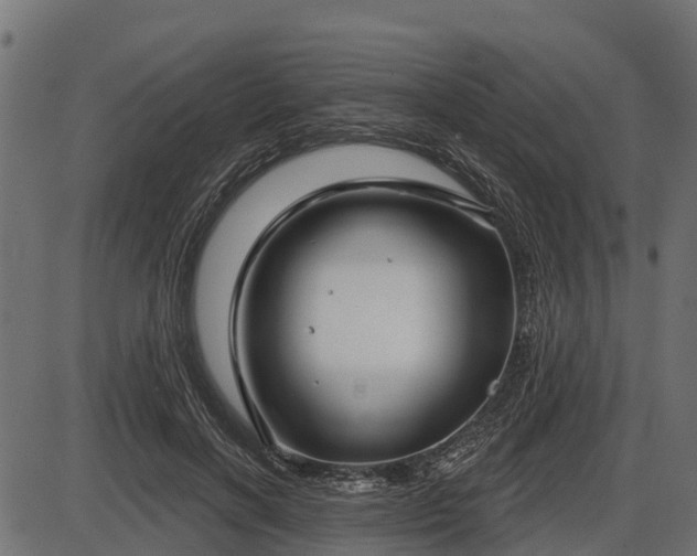 X0000086300646200704091022