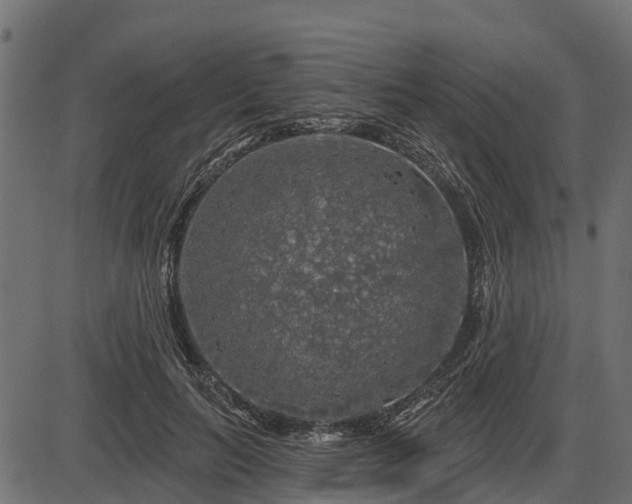 X0000086300647200704091022