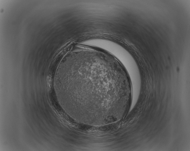 X0000086300648200704091022