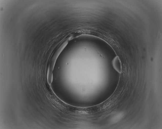 X0000086300649200704091022