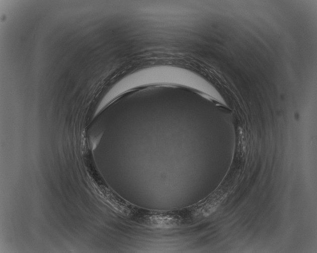 X0000086300650200704091022