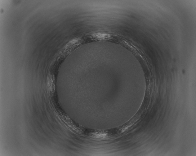 X0000086300651200704091022