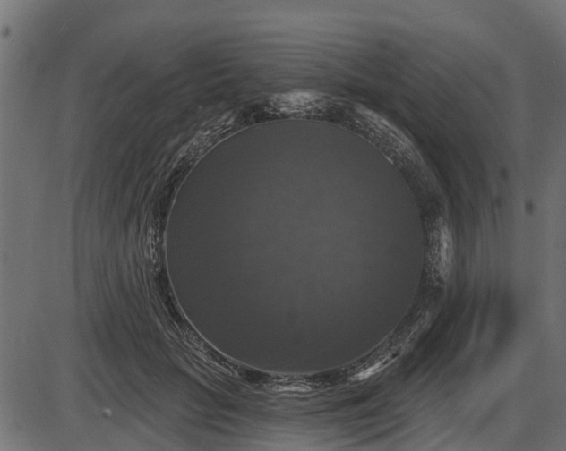 X0000086300653200704091022