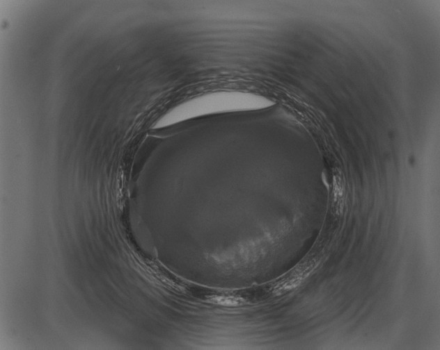 X0000086300654200704091022