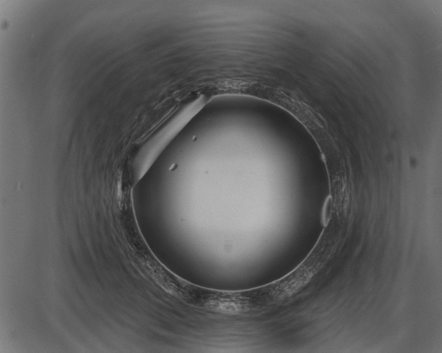 X0000086300655200704091022