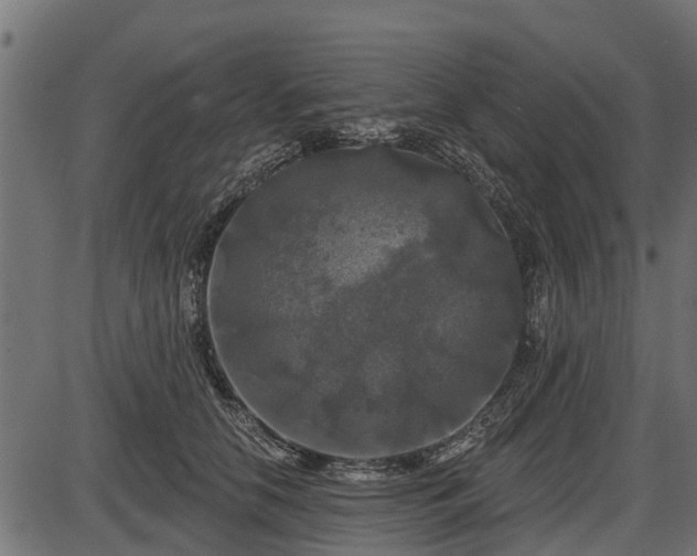 X0000086300658200704091022