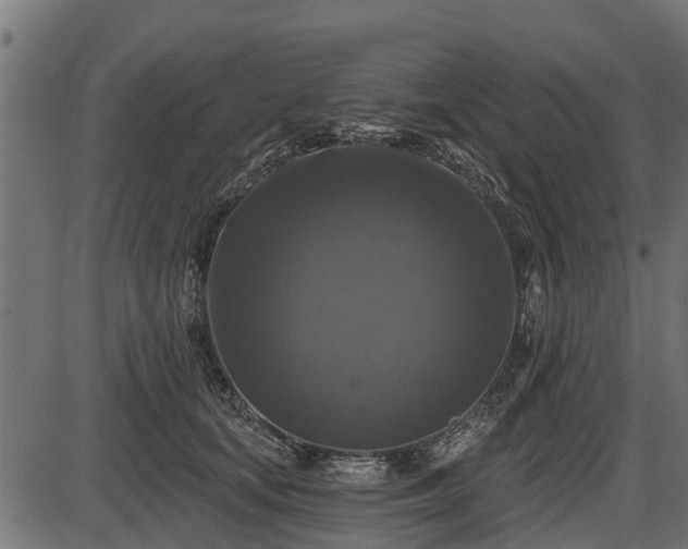 X0000086300659200704091022