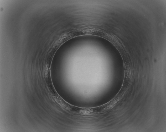 X0000086300660200704091022