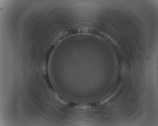 X0000086300661200704091022