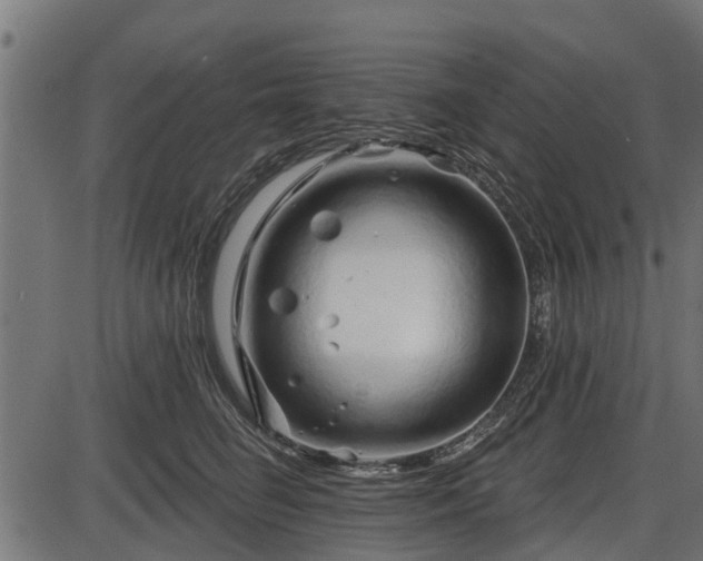 X0000086300662200704091022