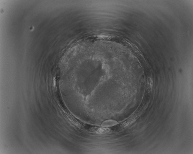 X0000086300663200704091022