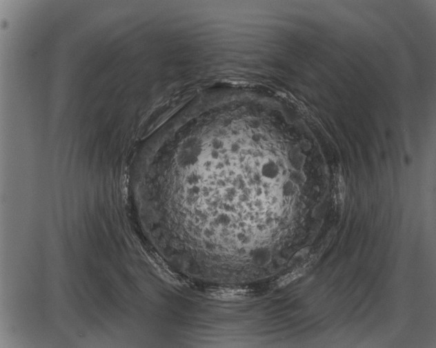X0000086300664200704091022