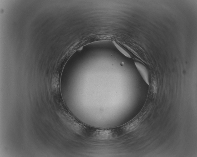 X0000086300665200704091022