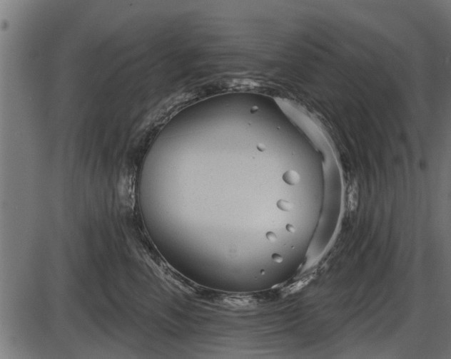 X0000086300666200704091023