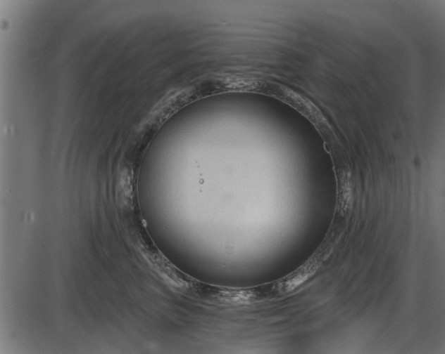 X0000086300667200704091023