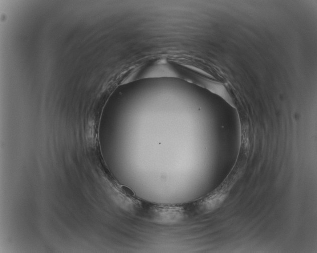 X0000086300670200704091023