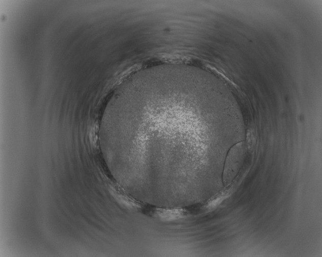 X0000086300671200704091023